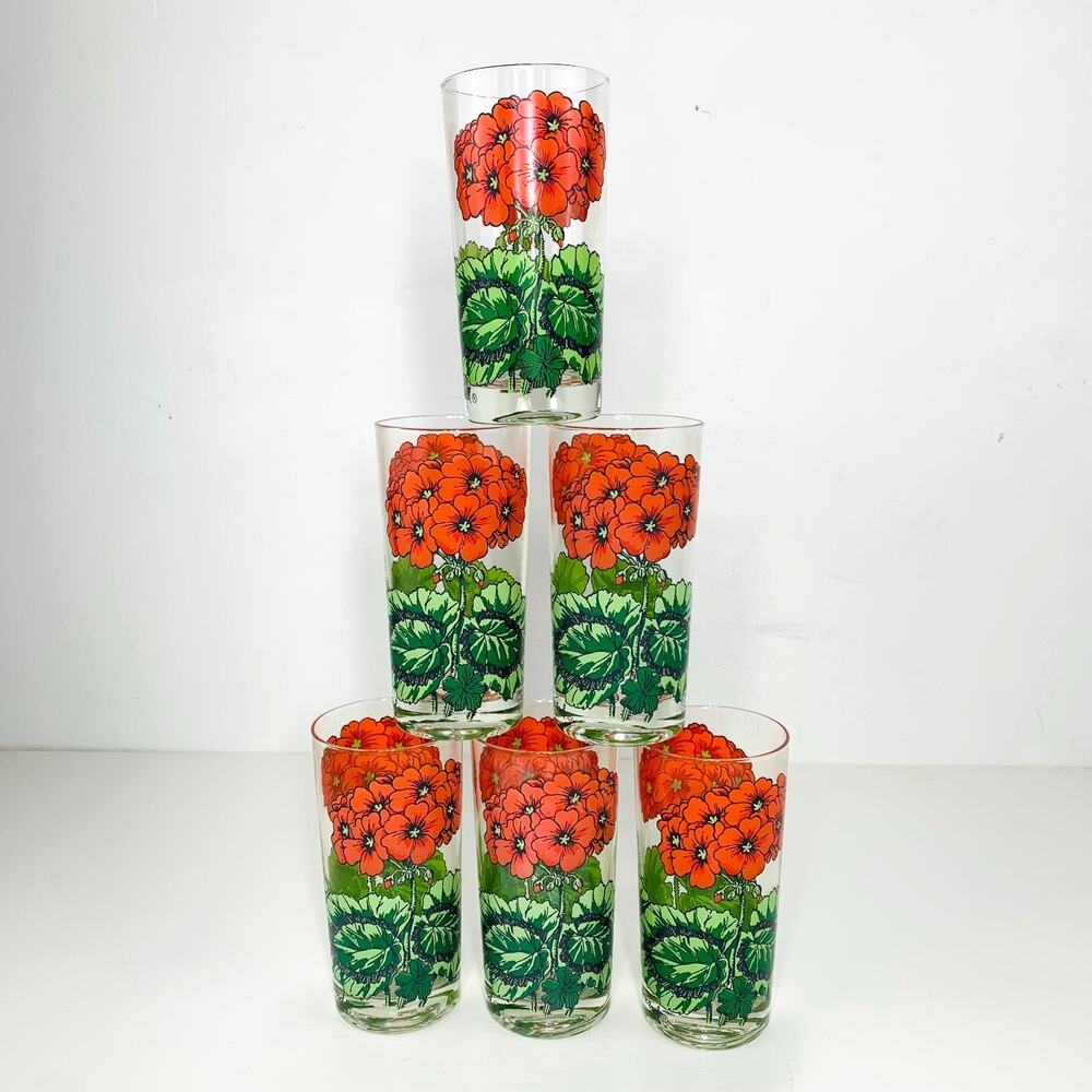 GEORGES BRIARD Red Geranium Highball Glass 12 oz Set (6) MCM Mid-Century VTG EUC
